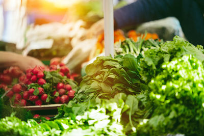 Fresh salad at farmers' market