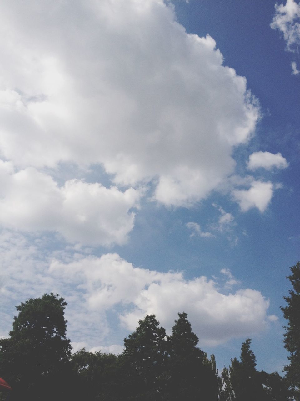 tree, sky, low angle view, cloud - sky, tranquility, beauty in nature, tranquil scene, scenics, nature, silhouette, cloudy, cloud, growth, outdoors, day, idyllic, no people, high section, blue, treetop