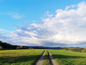 Scenic view of field against sky