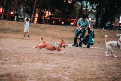 Group of people running at park