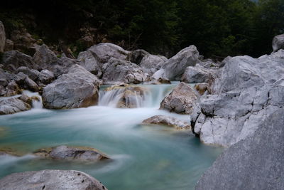 Scenic view of waterfall in forest