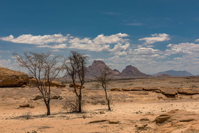 Landscape at the spitzkoppe rock formation, namibia