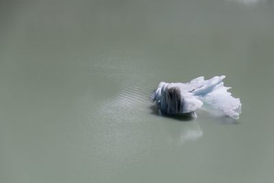 Close-up of water