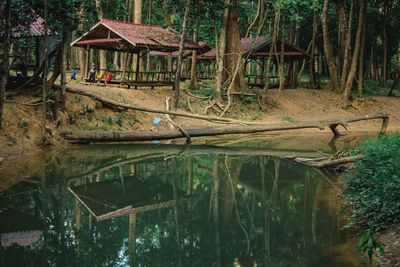 Scenic view of lake in forest