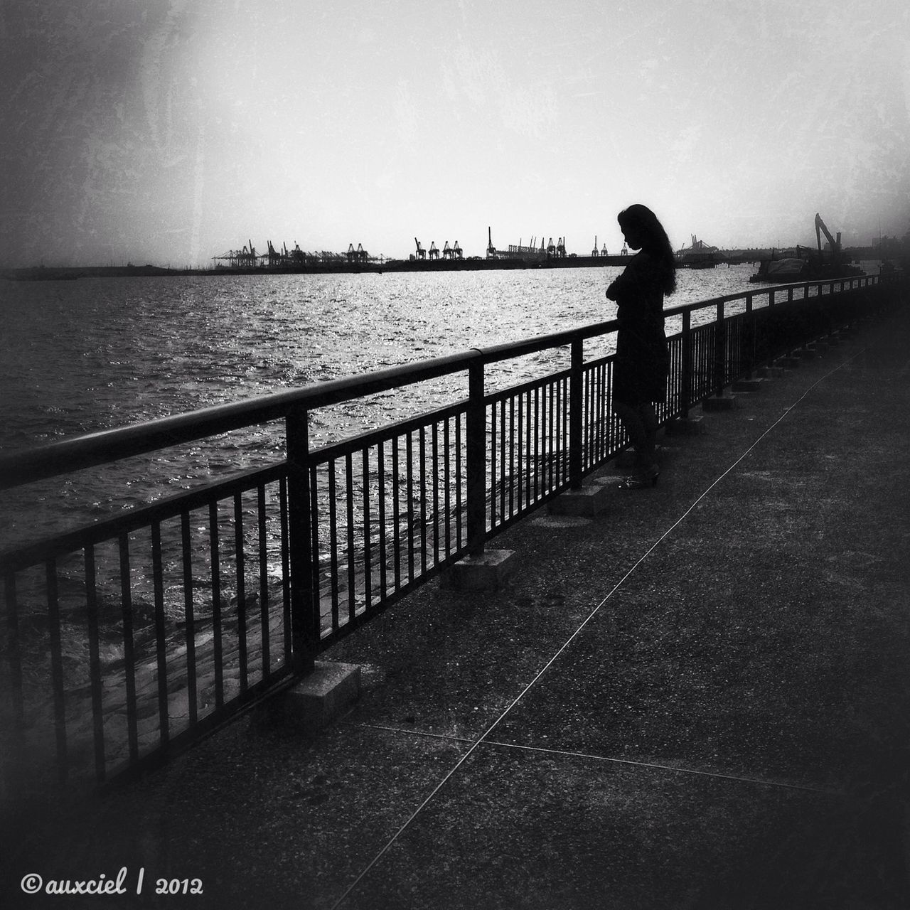 water, sea, railing, pier, bird, clear sky, sky, horizon over water, tranquility, copy space, built structure, nature, tranquil scene, scenics, silhouette, full length, animal themes, outdoors