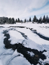 Scenic view of snow covered trees against sky