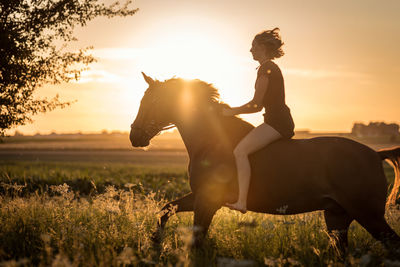 Woman riding horse on field against sky during sunset