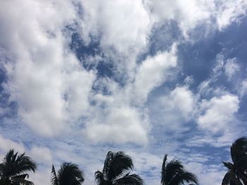 Low angle view of trees against cloudy sky