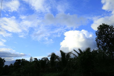 Low angle view of silhouette trees against sky