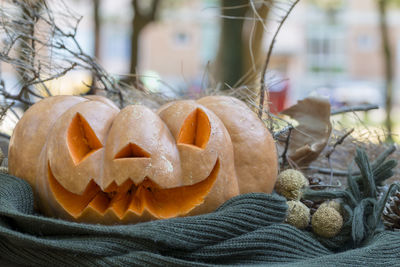 Close-up of pumpkin pumpkins