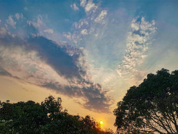 Low angle view of trees against sky during sunset