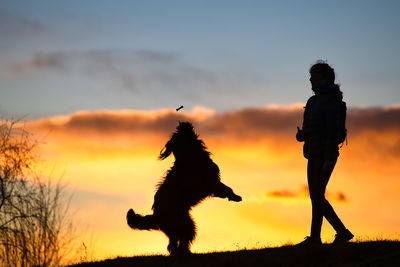Silhouette man with dog standing against sky during sunset