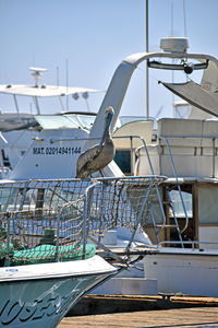 View of sailboats moored at harbor