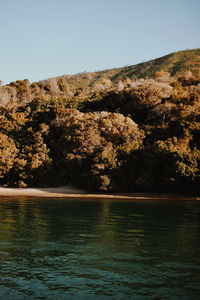 Scenic view of lake against clear sky