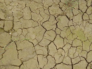 Full frame shot of cracked land