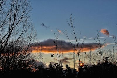 Silhouette trees against sky during sunset