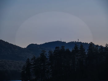 Silhouette trees in forest against sky