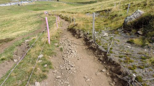 Scenic view of road amidst field