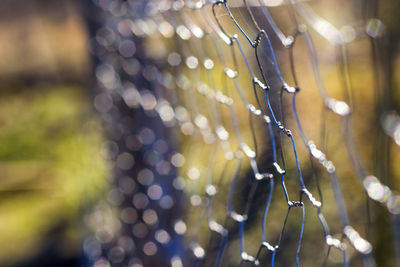 Metal fence background, real fence close-up and texture, daylight and outdoor