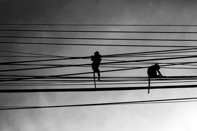 Low angle view of silhouette monkeys on cables against sky