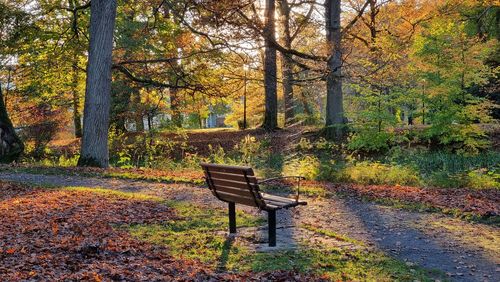 Empty bench in park