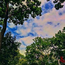 Low angle view of trees against cloudy sky