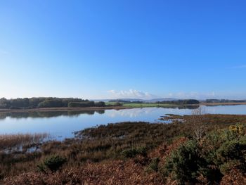 Scenic view of lake against clear blue sky