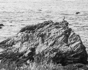 High angle view of rocks on beach