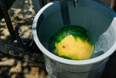 High angle view of watermelon in container