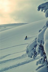 People on snow covered land