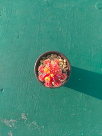 High angle view of fruits in bowl