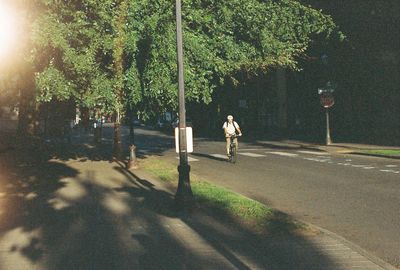 View of bicycle on street in park