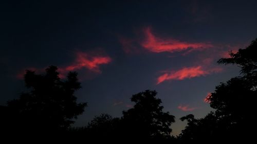Low angle view of silhouette trees against sky