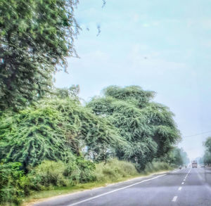 Road amidst trees against sky