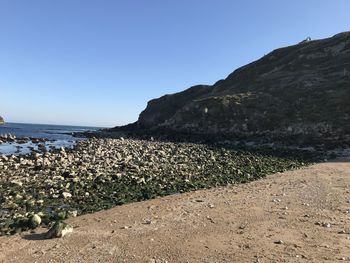 Scenic view of beach against clear sky