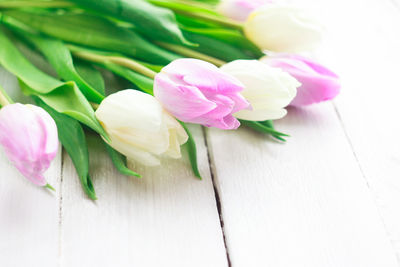 High angle view of pink tulip on table
