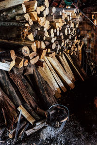 High angle view of logs in forest
