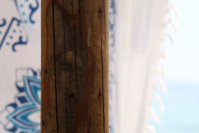 Close-up of tree trunk against sky