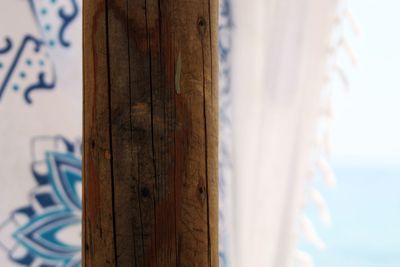 Close-up of tree trunk against sky