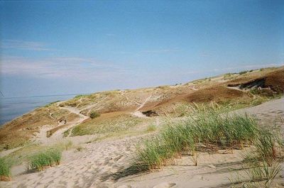 Scenic view of beach against blue sky