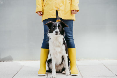 Woman wearing yellow raincoat standing with dog during autumn