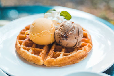 Close-up of ice cream in plate