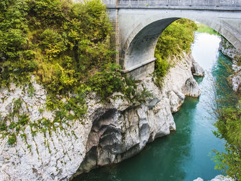 Arch bridge over river amidst trees