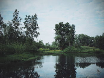 Scenic view of lake in forest against sky