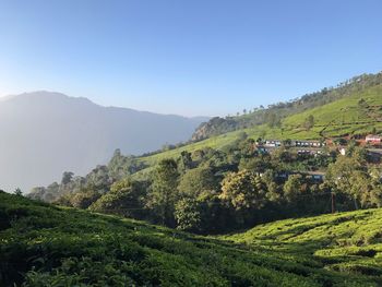 Scenic view of field against clear sky