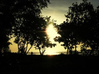 Silhouette trees against sky during sunset