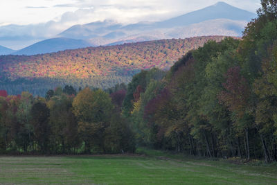 Scenic view of landscape against sky during autumn