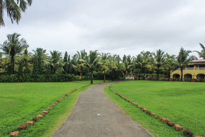 Scenic view of palm trees against sky