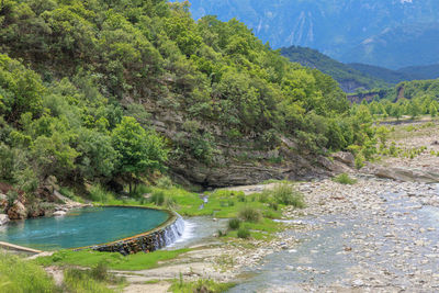 Scenic view of river amidst trees against mountain