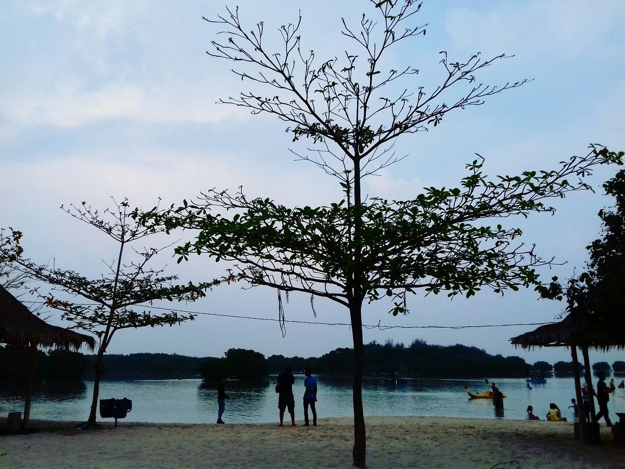 water, large group of people, sky, lifestyles, leisure activity, tree, men, sea, person, beach, nature, vacations, mixed age range, beauty in nature, scenics, tranquility, tranquil scene, tourist, togetherness